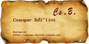Csenger Bálint névjegykártya