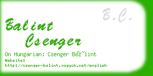 balint csenger business card
